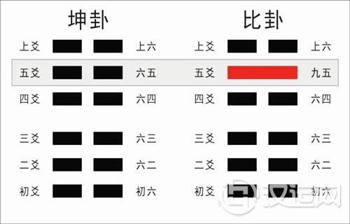 五爻代表什么 五爻代表什么