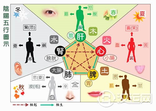六爻测身体健康 六爻测身体健康