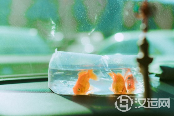 十二生肖中最“不好惹”的3大生肖,让你吃不了兜着走,有仇必报! 十二生肖中最“不好惹”的3大生肖,让你吃不了兜着走,有仇必报!