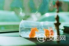 敢爱敢恨不怕得罪人的星座 敢爱敢恨不怕得罪人的星座