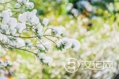 起什么样的名字易招小人? 起什么样的名字易招小人?