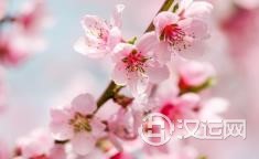 天降姻缘,容易一见钟情,近期桃花运最旺的4大生肖! 天降姻缘,容易一见钟情,近期桃花运最旺的4大生肖!