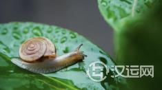 白羊座男生在爱情中有哪些弱点? 白羊座男生在爱情中有哪些弱点?
