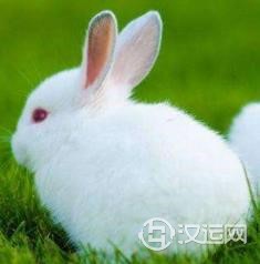 2023年哪个属相不适宜生宝宝? 2023年哪个属相不适宜生宝宝?