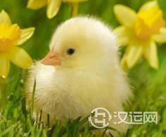 白手起家挣大钱的生肖有哪几个? 白手起家挣大钱的生肖有哪几个?