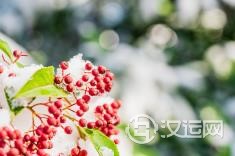 海中金命是什么? 海中金命是什么?