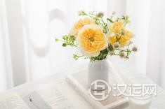 双子座男生讨厌什么样的女生 双子座男生讨厌什么样的女生