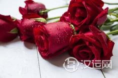 双子座女喜欢什么样的男生 双子座女喜欢什么样的男生