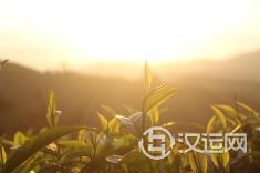 霹雳火命是什么? 霹雳火命是什么?