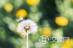 九宫飞星的六白武曲星 九宫飞星的六白武曲星