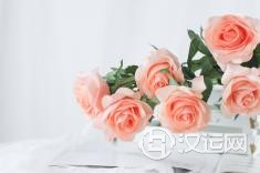 让男人又爱又恨的星座女 让男人又爱又恨的星座女