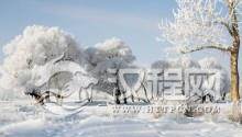 大雪