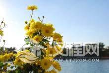 重阳节