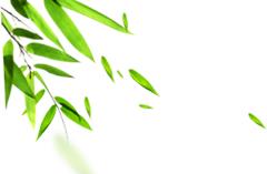 这是崇明民间的传统技艺，在竹丝篾片间编织岁月