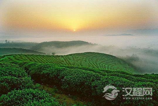 绿茶中最有名的茶有哪些