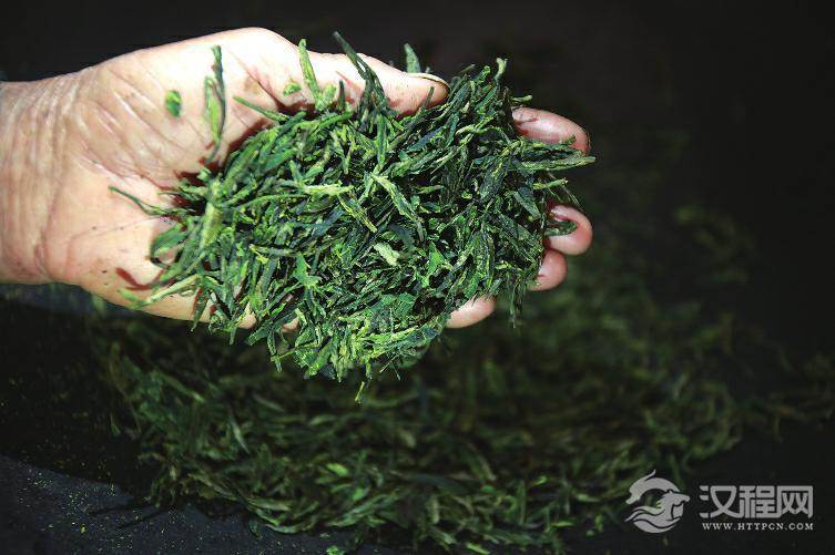 “揉捻”指的是什么？其目的是什么？