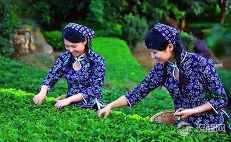 铁观音茶叶的主要产地