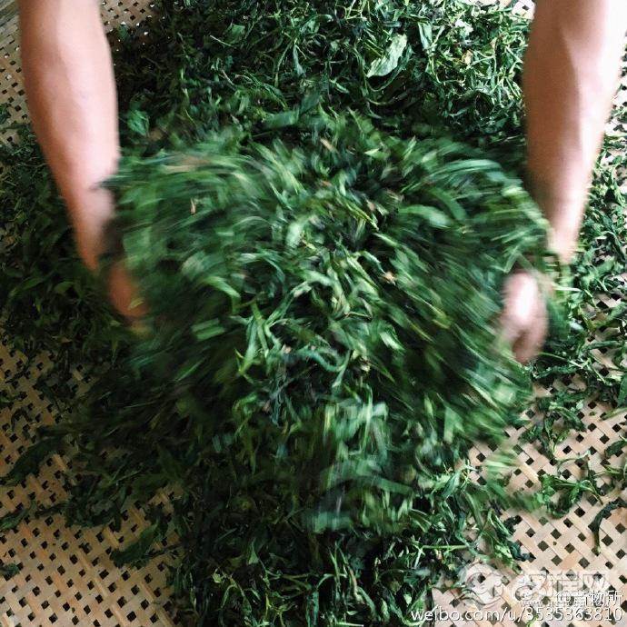 茶叶萎凋指的是什么？其目的是什么？