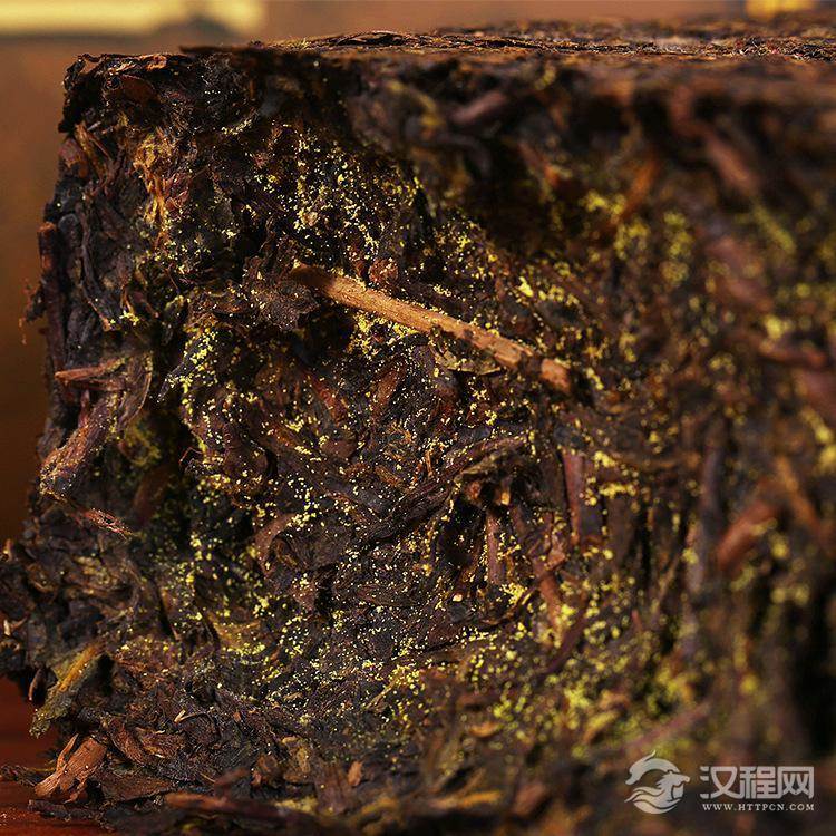 “金花”的真身其实是真菌