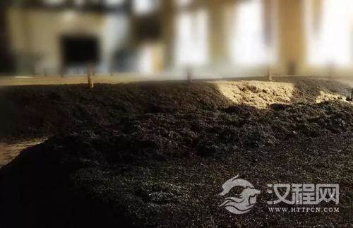 什么是普洱茶的后发酵