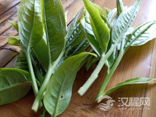 什么是再加工茶类