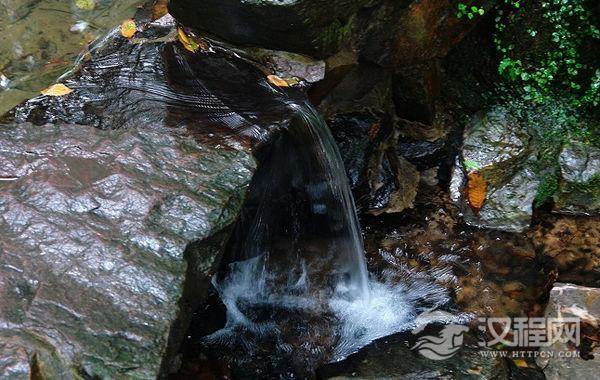 西湖双绝指什么？