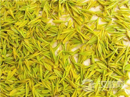 制作黄茶的重要工艺是什么