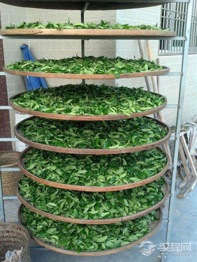 发酵”指的是什么？其目的是什么？