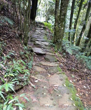 茶马古道韵味悠长 哀牢山风光秀美