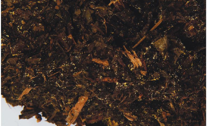  茯砖的特点是什么