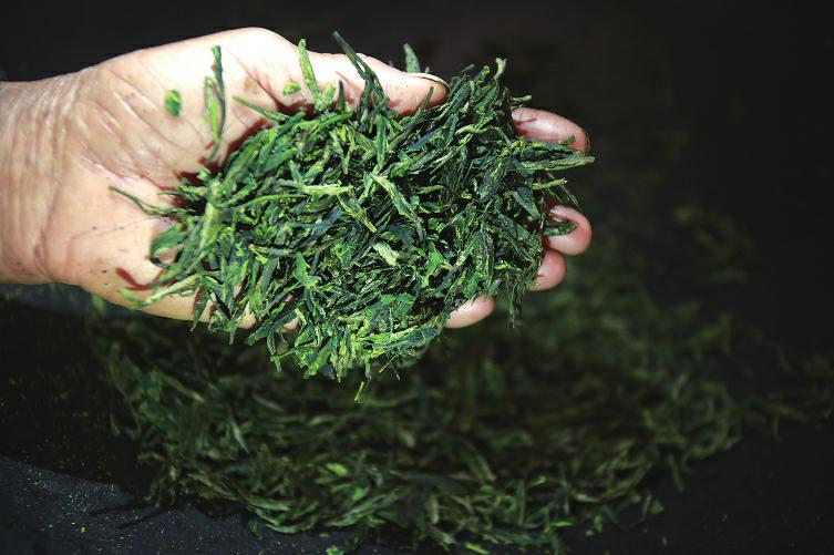 茶叶“揉捻”指的是什么？其目的是什么？