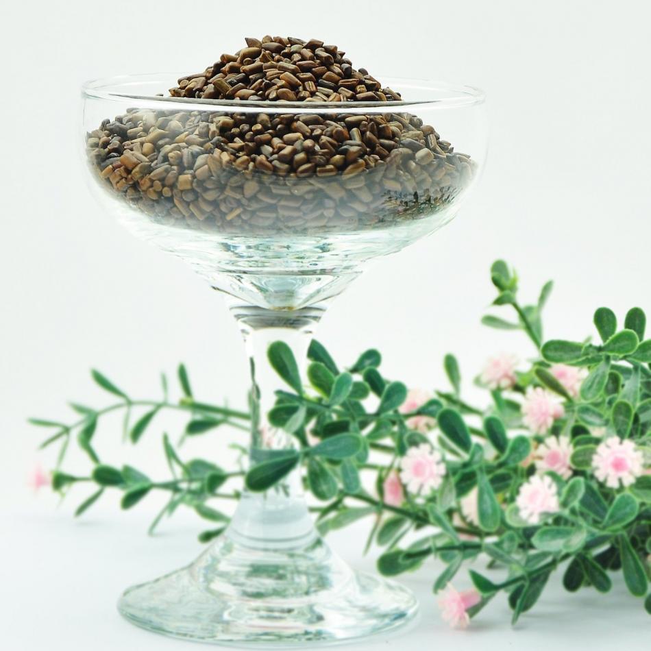 决明子是什么茶？