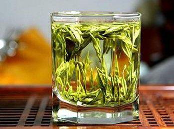 浙江白茶是什么茶？