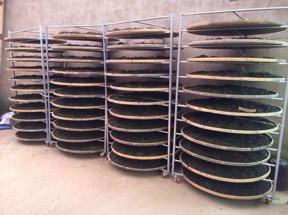 红茶的加工原理