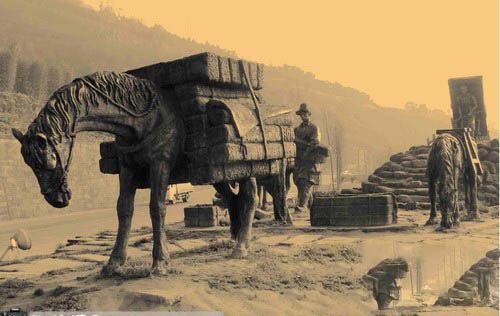 中国黑茶源头——雅安藏茶新发展