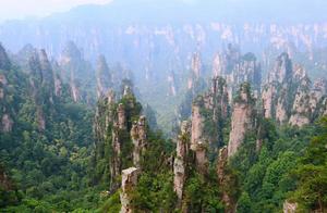 为什么说茶文化的形成时期是唐代？