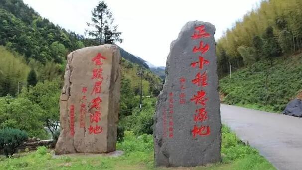 红茶茶叶的产地及生长环境