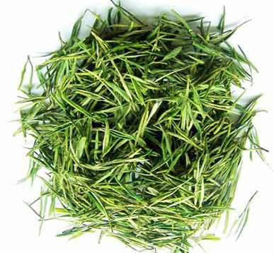 夏天闷热潮湿 多喝些白茶也不失为当今的养生之道