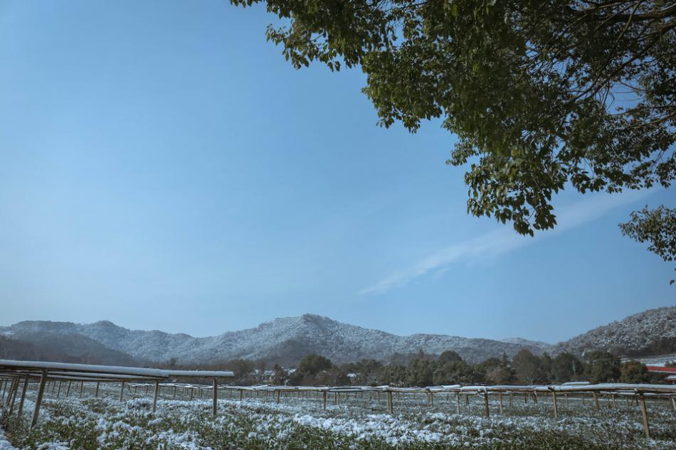 四季不同季节的茶有些些不一样？