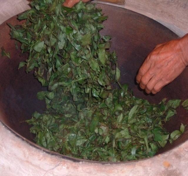 茶叶中的儿茶素茶单宁