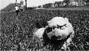 五代十国奠定宋朝茶文化的基础