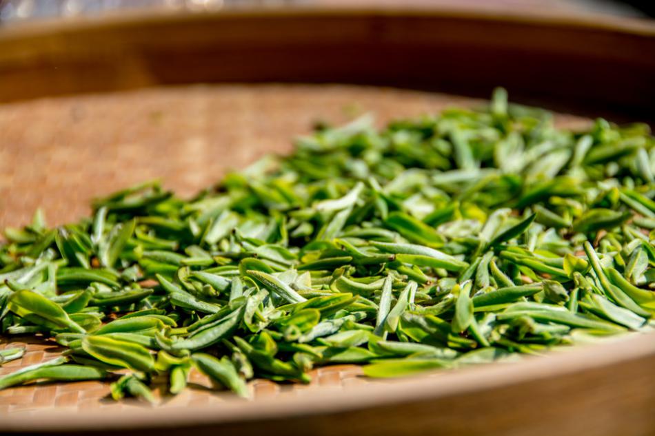 江西绿茶介绍