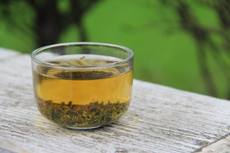 怎么饮用辣木茶？