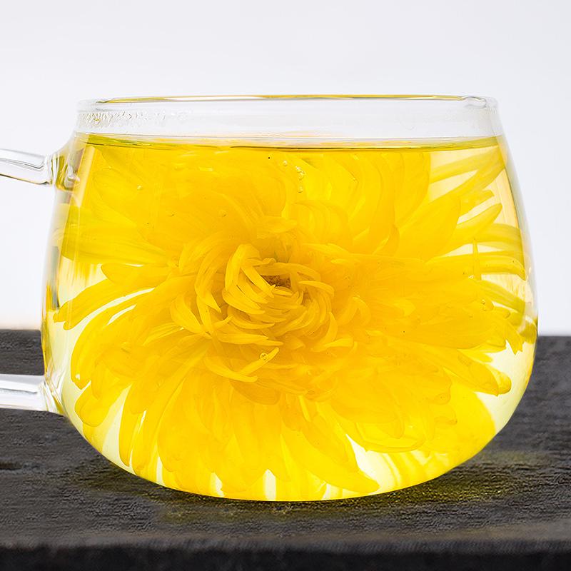  哪些人不适合喝菊花茶