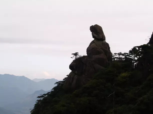 再好的茶，捧在手里也会凉！