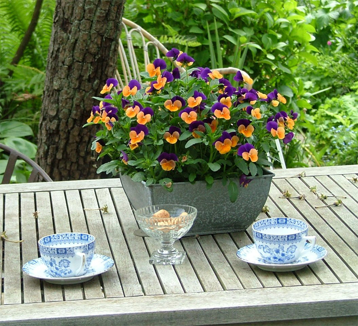 秋天不同气候喝不同的茶养生效果更好