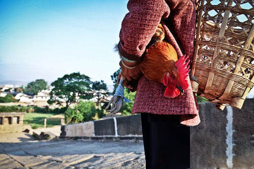 组图：云南沙溪古镇 凝结的茶马记忆