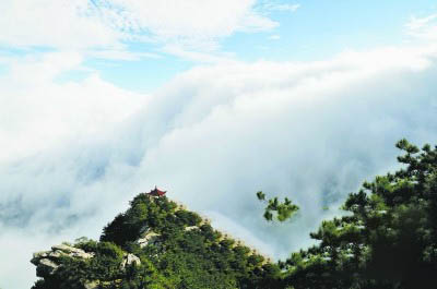 庐山云雾的种植历史