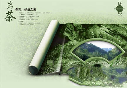 武夷岩茶的起源和发展