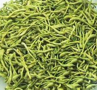 金银花茶名字的由来